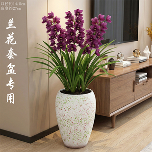 家用落地兰花花盆陶瓷清仓特价室内大花蕙兰专用花盆客厅装饰摆件
