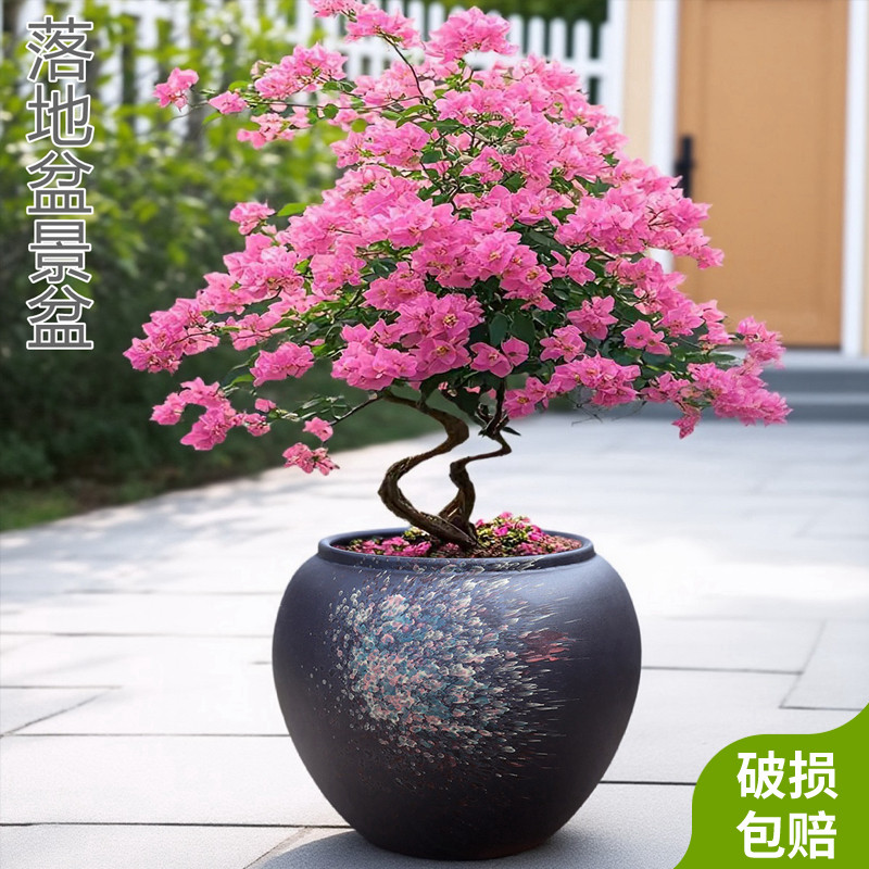 家用轻奢高级感多肉陶瓷花盆