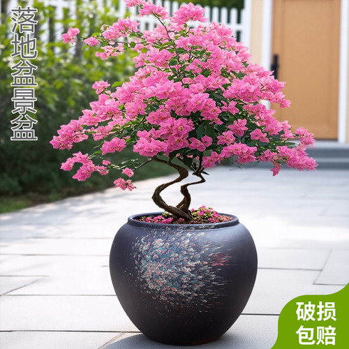 家用轻奢高级感多肉陶瓷花盆