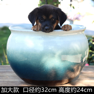 特大口径陶瓷绿植多肉花盆特大号阳台庭院家用三角梅群生盆景陶盆