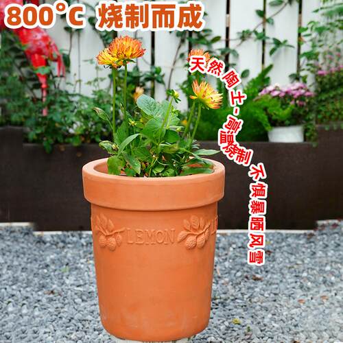 红陶浮雕花盆透气性好