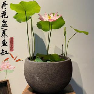 庭院特大号鱼缸荷花睡莲花钵紫砂花盆粗陶透气陶罐欧式简约盆景盆