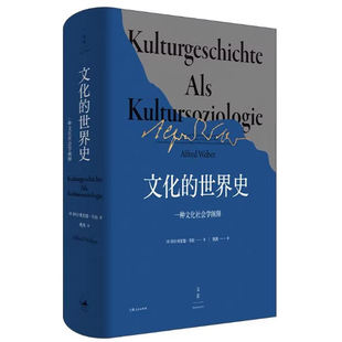 正版文化的世界史 一种文化社学会阐释 韦伯力 上海人民出版社 比肩斯宾格勒 汤因比的历史叙述书籍
