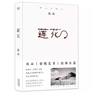 十四年时光流逝诚挚 长篇小说 从安妮宝贝到庆山 果麦书籍 文学小说 莲花 正版 庆山