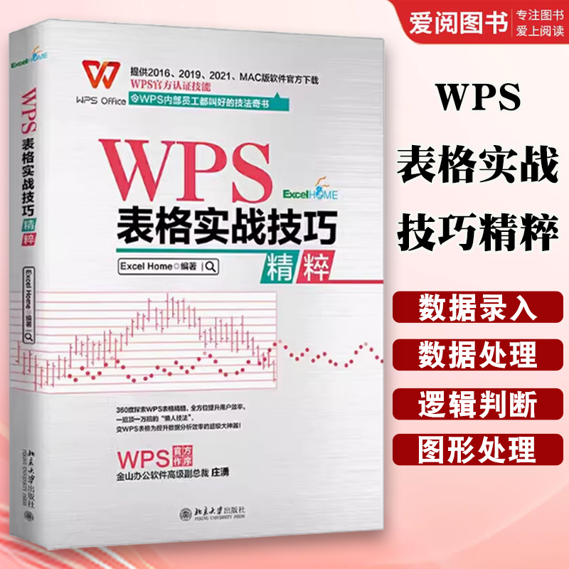 正版WPS表格实战技巧精粹 北京大学出版社 ExcelHome出品 全彩高效办公书 教程教材书籍