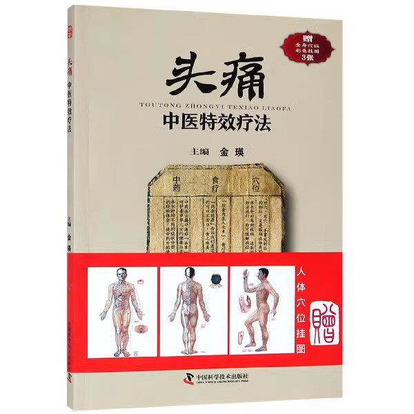 正版头痛中医特效疗法 金瑛 中国科学技术出版社 临证用药务求精当|引经据典入古出新 头疼 头痛治疗方法临床书籍
