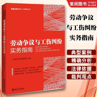 正版劳动争议与工伤纠纷实务指南 北京大学 上海丰兆律所 劳动争议纠纷典型案例劳动仲裁诉讼处理技巧及风险防范 劳动合同劳务派遣