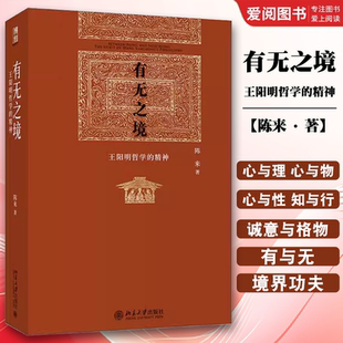 正版有无之境 王阳明哲学的精神 陈来 北京大学出版社 当代中国知名哲学家陈来教授代表作学阳明先生心学知行合一的精神 教材书籍