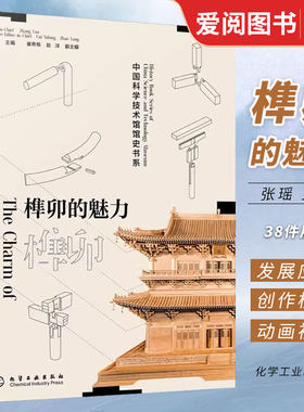 榫卯的魅力张瑶化学