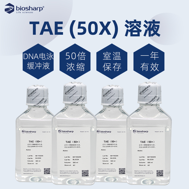 Biosharp白鲨DNA电泳缓冲液