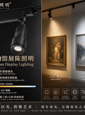 戈特博物馆铝材COB调焦调光
