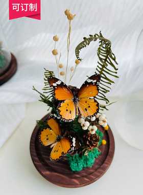 玻璃罩蝴蝶标本植物标本干花摆件昆虫家居软装陈列礼物生态微景观