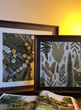 植物押花相框热植海芋装饰画