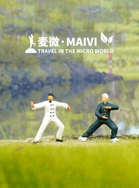 1:64麦微人偶老年人打太极拳晨练苔藓微景观模型沙盘公园场景小人