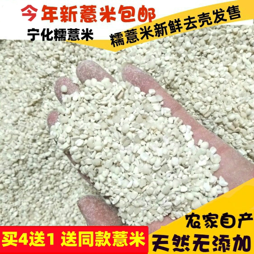2025年新货宁化特级薏米仁500克