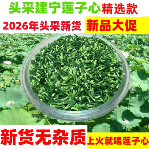 26年新货特级天然野生莲子芯茶泡水莲子心莲心干货250-500克无硫