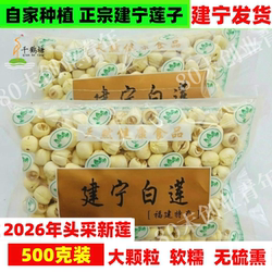 26年大颗粒福建建莲建宁莲子特级手工去皮去心通心白莲500克干货