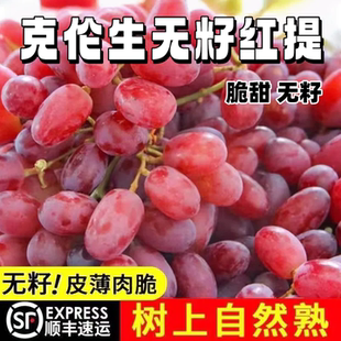 【顺丰】无籽红提葡萄克伦生新鲜水果提子脆甜皮薄无核甜整箱包邮