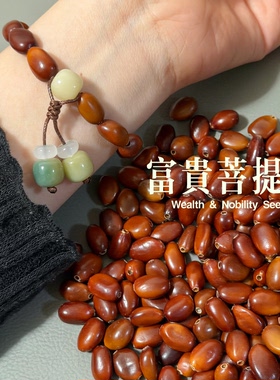 文玩手串富贵菩提籽打孔材料中药皂角籽盘串diy盘玩32颗