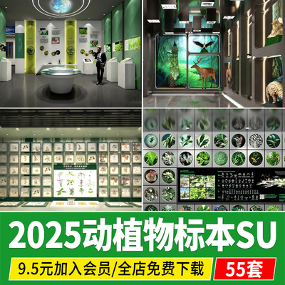 动物植物标本科普展厅展示墙昆虫自然生态展览馆草图大师SU模型