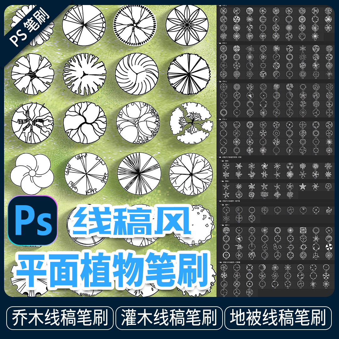 Photoshop线稿风景观乔灌木地被配置彩平面图植物图例笔刷abr素材