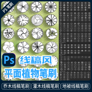 Photoshop线稿风景观乔灌木地被配置彩平面图植物图例笔刷abr素材