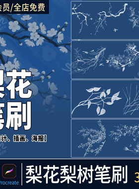 ps笔刷梨花梨树手绘唯美古风水墨枝条花瓣线稿花卉植物procreate