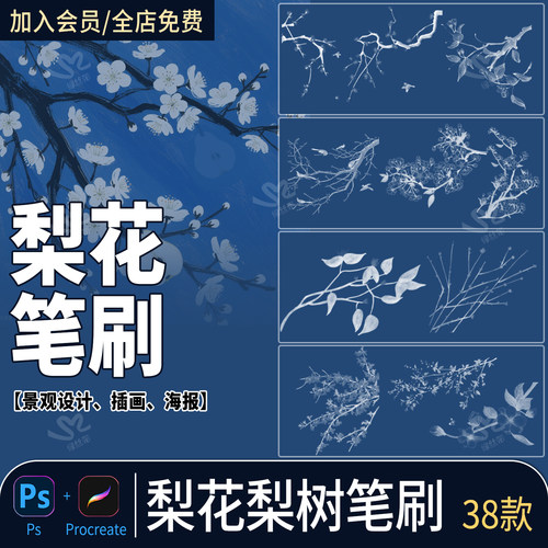 ps笔刷梨花梨树手绘唯美古风水墨枝条花瓣线稿花卉植物procreate