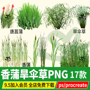 ps香蒲旱伞草风车草河道水生植物滨水湿地景观效果图png素材psd