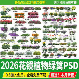 园林户外花境植物配置花卉绿篱灌木丛地被草花ps素材psd分层源文