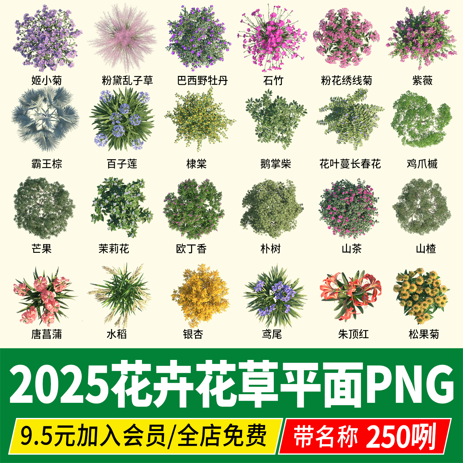 花卉PSD彩平图植物树草花境乔灌木平面图例PNG免抠素材procreate
