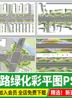 道路绿化带市政城市景观彩平平面图PSD分层源文件彩平图PS素材