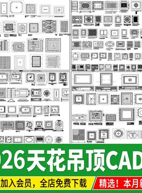 室内家装天花吊顶棚样式CAD平面大样图库客厅餐厅图块图集施工图