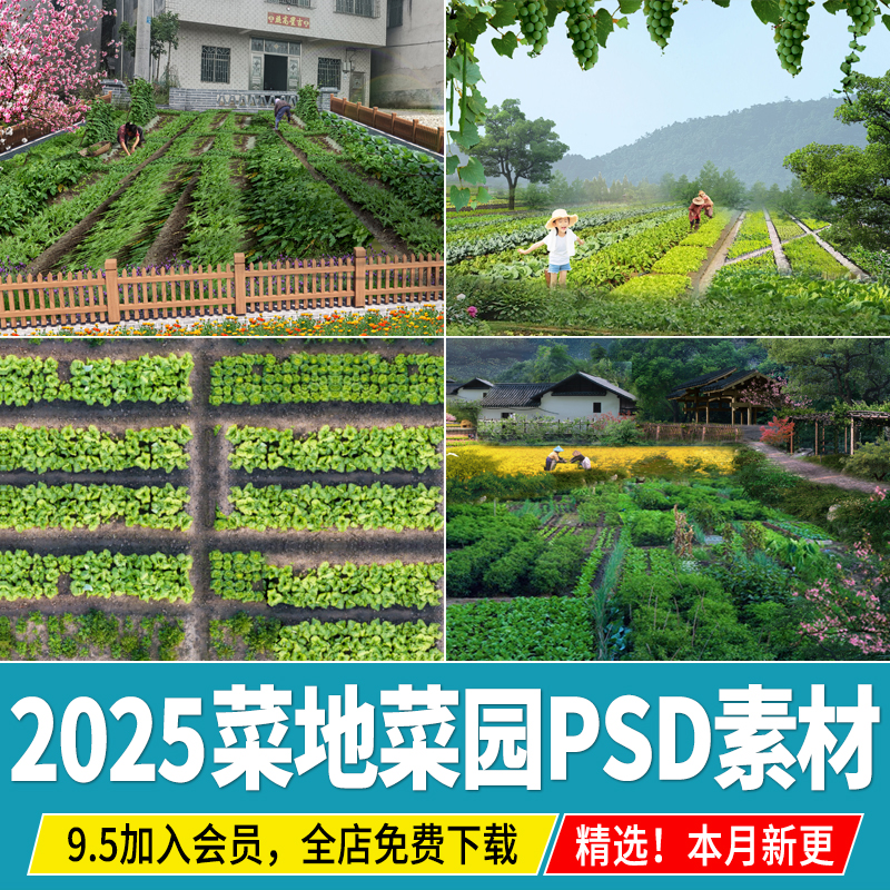 菜地菜园美丽乡村农村庭院平面景观蔬菜 植物ps素材psd免扣效果图