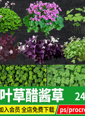 PNG三叶草四叶车轴草白花紫花酢浆草贴图PSD免扣ps素材procreate