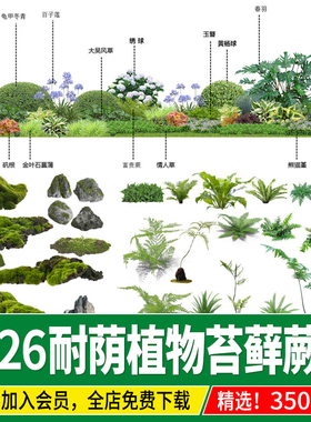 园林景观耐阴植物蕨类苔藓矾根耐荫花镜地被ps素材psd免扣效果图