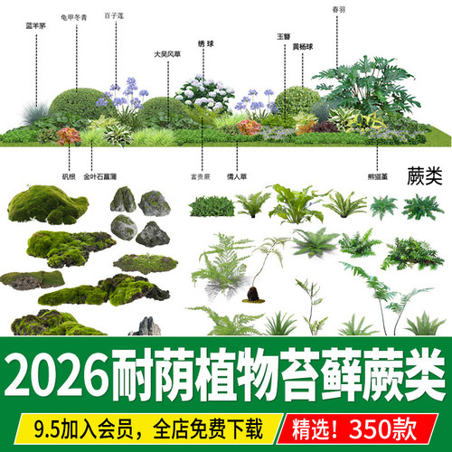 园林景观耐阴植物蕨类苔藓矾根耐荫花镜地被ps素材psd免扣效果图