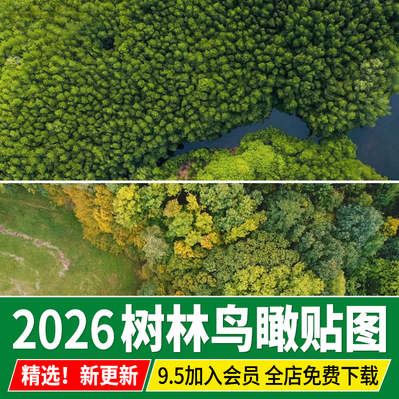 树丛树群植物鸟瞰俯瞰俯视图树林自然森林彩平底图平面ps贴图素材