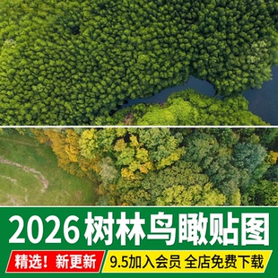 树丛树群植物鸟瞰俯瞰俯视图树林自然森林彩平底图平面ps贴图素材