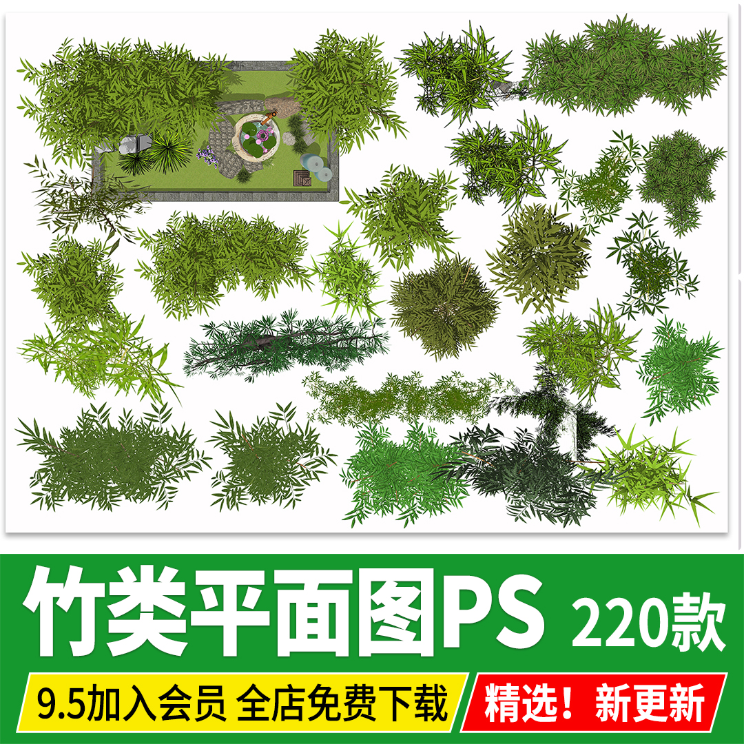 竹子竹林平面图景观彩平图分析图竹类植物顶视图psd免扣ps素材