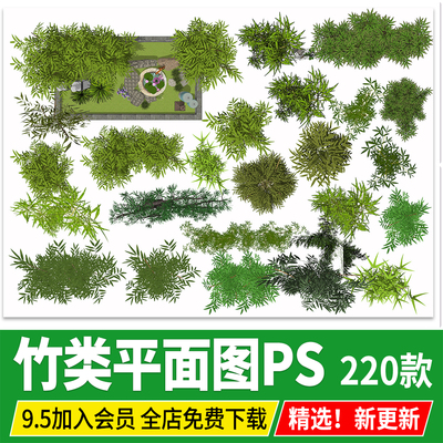 竹子竹林平面图景观彩平图分析图竹类植物顶视图psd免扣ps素材