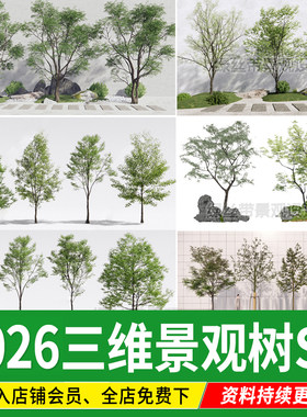 园林景观树行道树彩叶色叶树造型树广场小乔木三维植物su模型素材