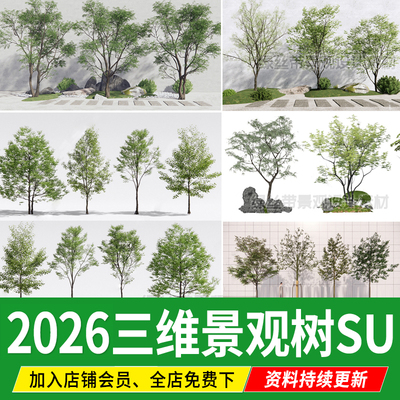 园林景观树行道树彩叶色叶树造型树广场小乔木三维植物su模型素材