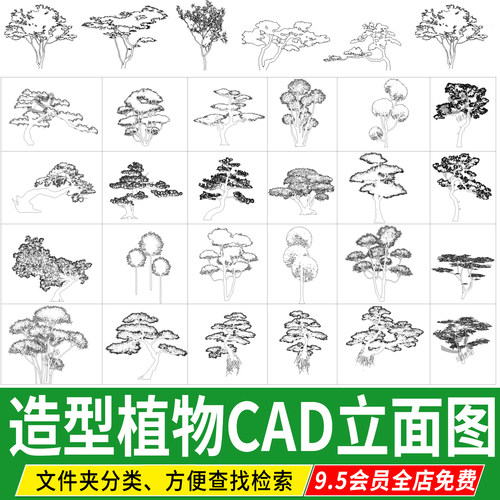 造型树景观树红枫盆景罗汉松cad立面图新中式庭院植物cad图库素材