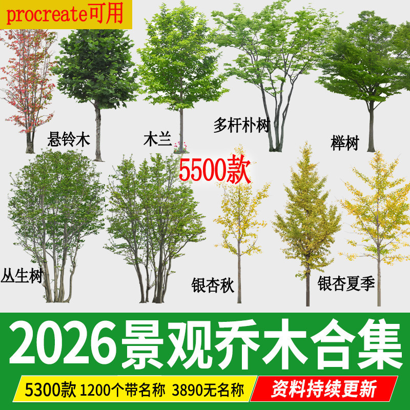 园林景观乔木 ps素材PNG免抠常用树木植物PSD效果图后期procreate