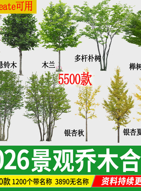 园林景观乔木 ps素材PNG免抠常用树木植物PSD效果图后期procreate