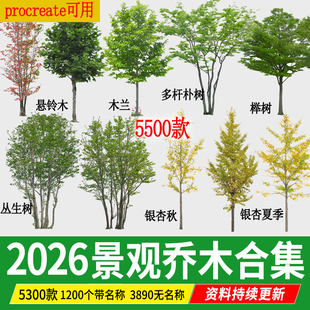 园林景观乔木 ps素材PNG免抠常用树木植物PSD效果图后期procreate