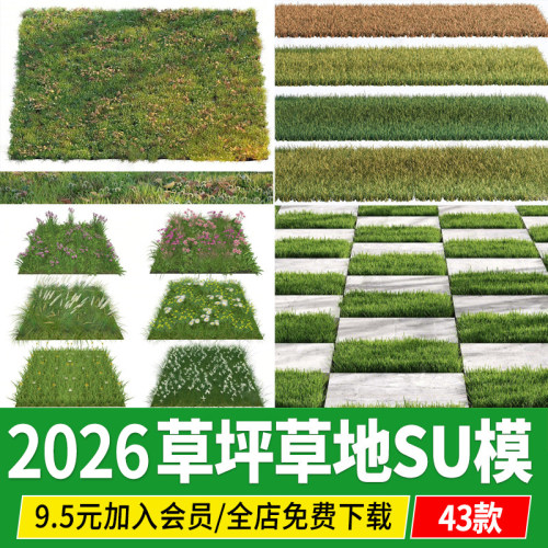 草坪草地草皮马尼拉结缕草果岭草百慕大四季青结缕草剪股颖SU模型