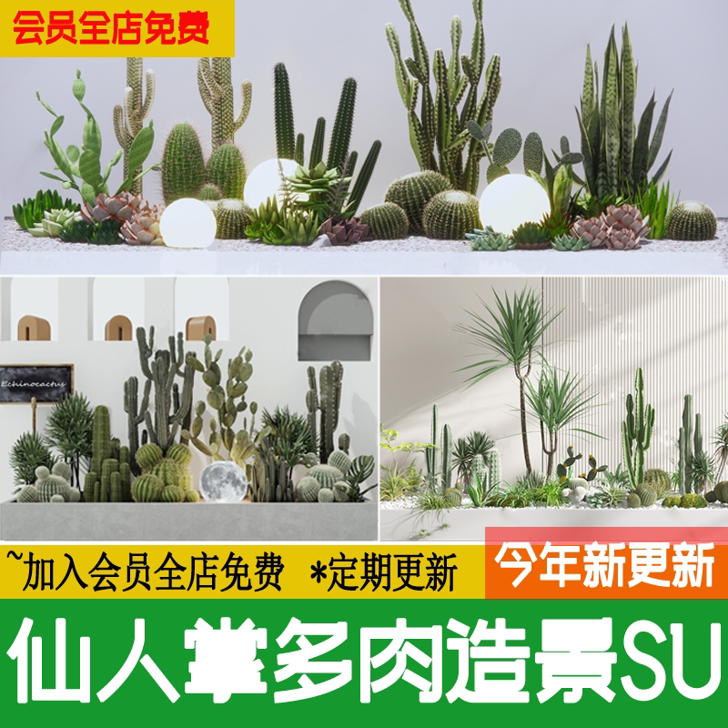 仙人掌仙人球热带沙漠多肉植物露台造景花坛盆栽草图大师su模型