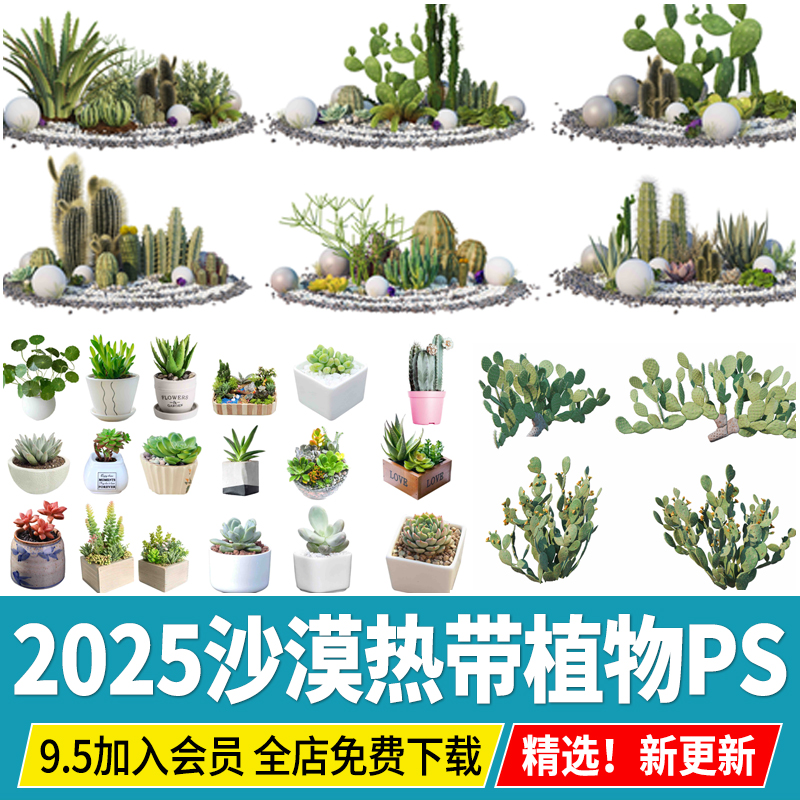 多肉植物热带沙漠盆栽ps素材psd免扣效果图沙生仙人掌景观造景
